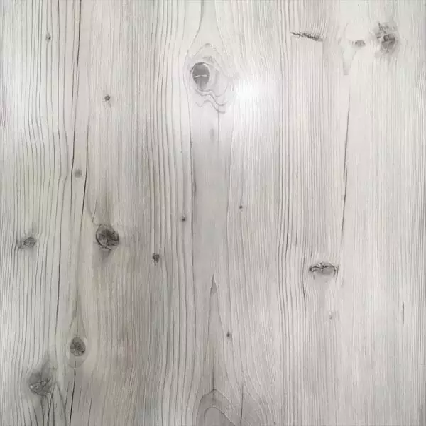 Скиф. Бискайская сосна.